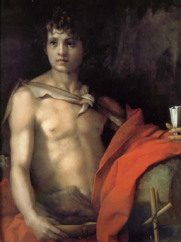 Andrea del Sarto Johannes as juvenile oil painting image